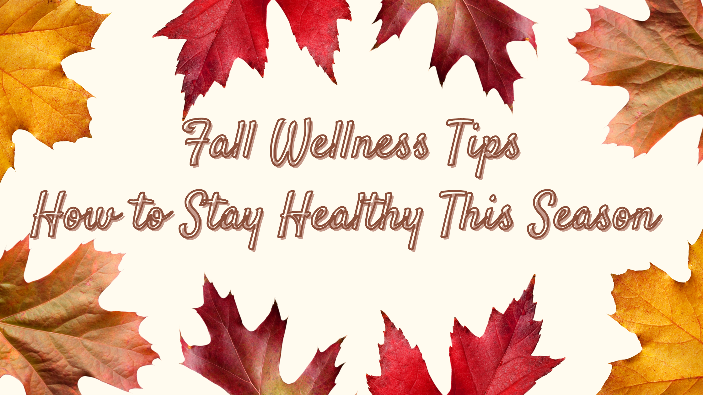 10621 Tips for Transitioning to Fall Blog Banner