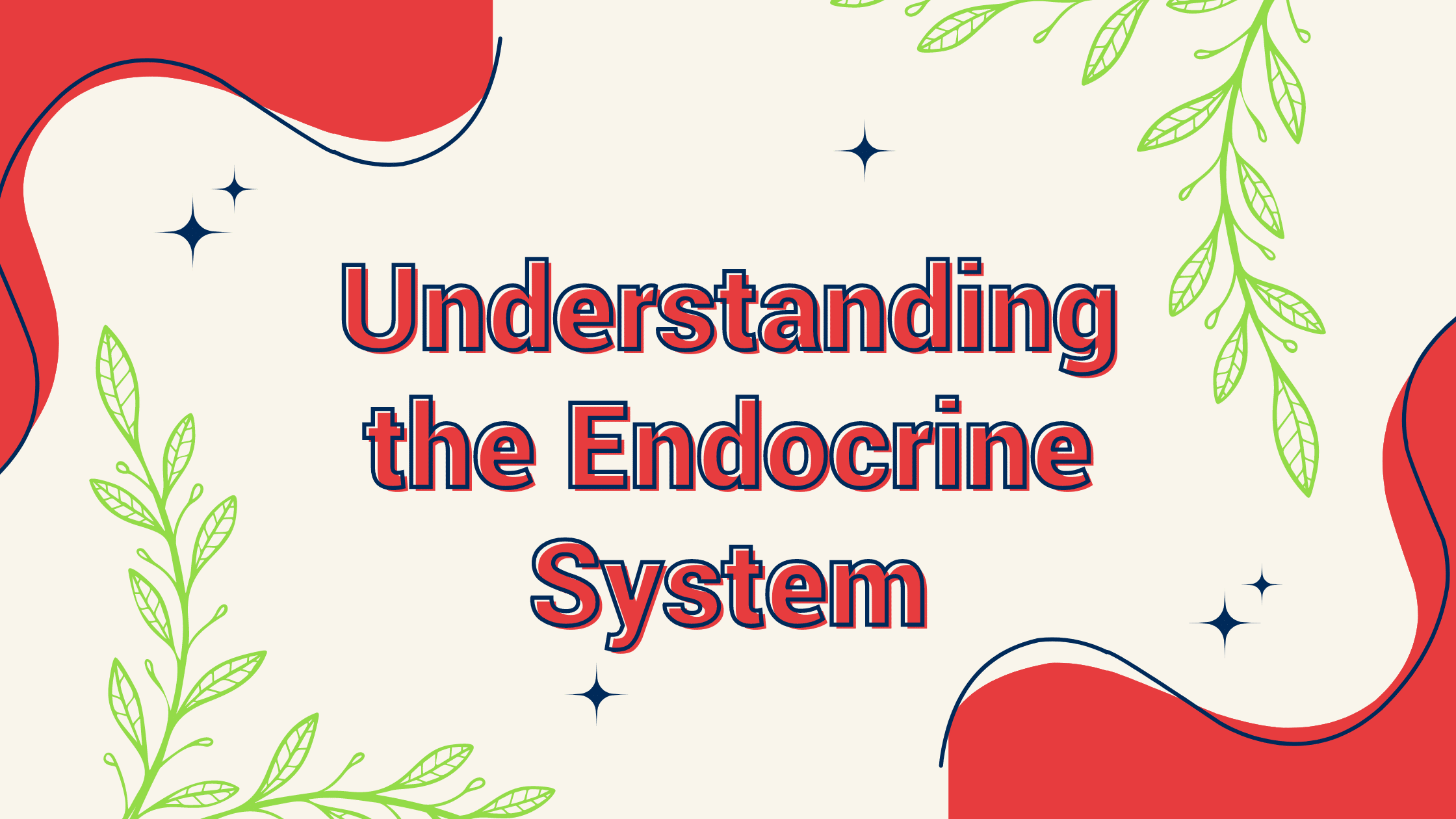 Understanding the Endocrine System