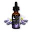 Plant-Based Oil: Sleep - Lavender Lullaby